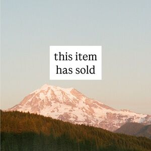 Patagonia NWOT Fjord Flannel button up shirt